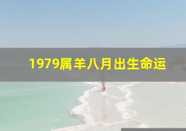 1979属羊八月出生命运