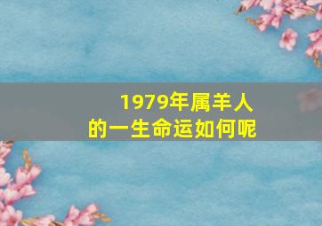 1979年属羊人的一生命运如何呢