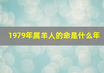 1979年属羊人的命是什么年