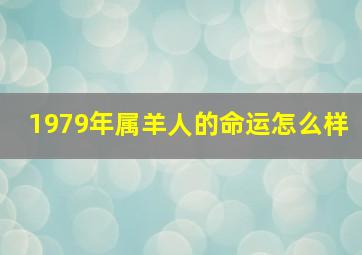 1979年属羊人的命运怎么样