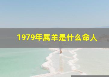 1979年属羊是什么命人