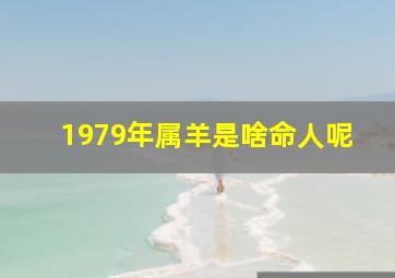 1979年属羊是啥命人呢