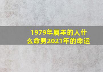 1979年属羊的人什么命男2021年的命运