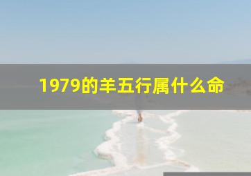 1979的羊五行属什么命