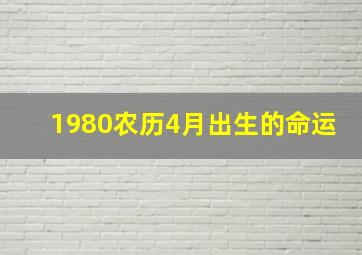 1980农历4月出生的命运