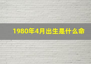 1980年4月出生是什么命