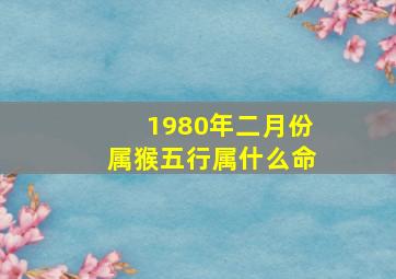 1980年二月份属猴五行属什么命