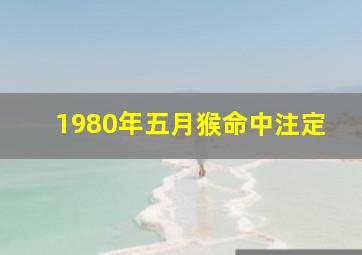 1980年五月猴命中注定