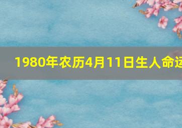 1980年农历4月11日生人命运