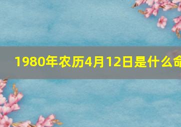 1980年农历4月12日是什么命