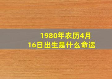 1980年农历4月16日出生是什么命运