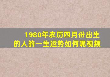 1980年农历四月份出生的人的一生运势如何呢视频