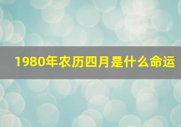 1980年农历四月是什么命运