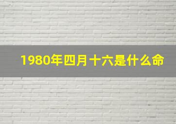 1980年四月十六是什么命