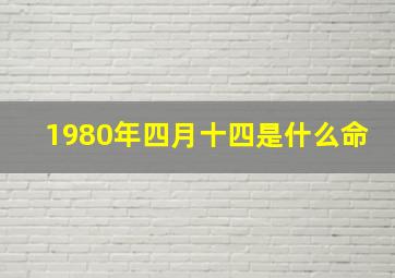 1980年四月十四是什么命