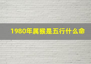 1980年属猴是五行什么命