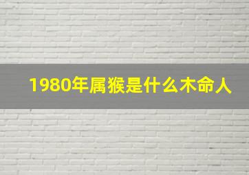 1980年属猴是什么木命人