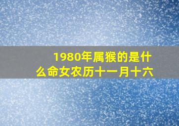 1980年属猴的是什么命女农历十一月十六