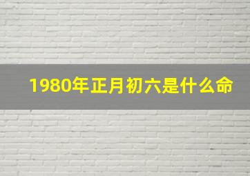 1980年正月初六是什么命