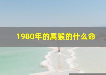 1980年的属猴的什么命