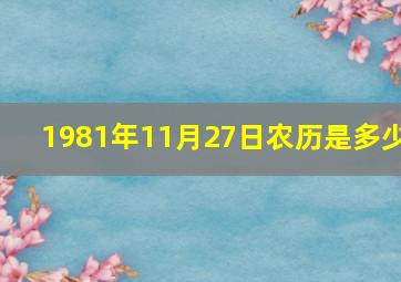 1981年11月27日农历是多少