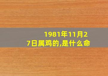 1981年11月27日属鸡的,是什么命