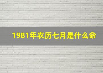 1981年农历七月是什么命