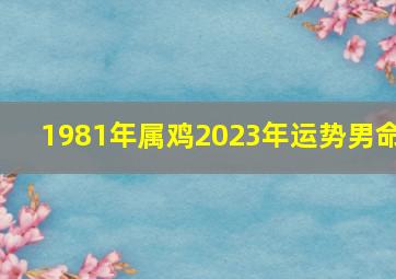 1981年属鸡2023年运势男命