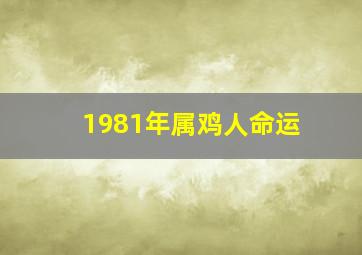 1981年属鸡人命运