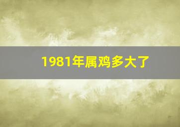 1981年属鸡多大了