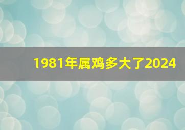 1981年属鸡多大了2024