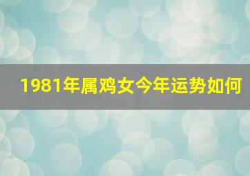 1981年属鸡女今年运势如何