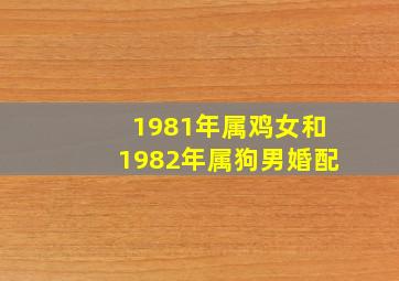 1981年属鸡女和1982年属狗男婚配