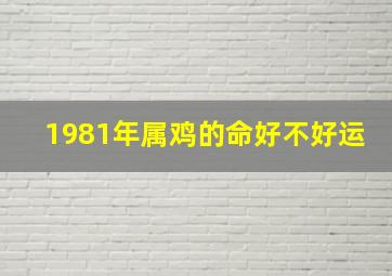 1981年属鸡的命好不好运