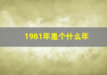 1981年是个什么年