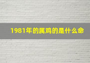 1981年的属鸡的是什么命