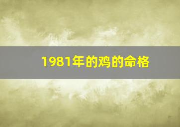 1981年的鸡的命格