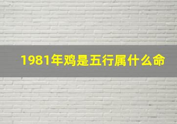 1981年鸡是五行属什么命