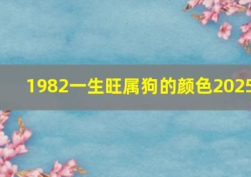 1982一生旺属狗的颜色2025