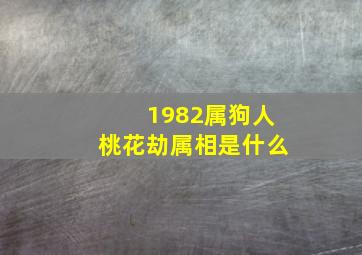 1982属狗人桃花劫属相是什么