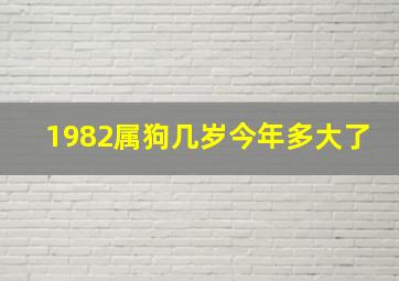 1982属狗几岁今年多大了