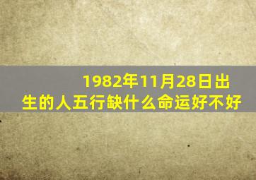 1982年11月28日出生的人五行缺什么命运好不好