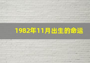 1982年11月出生的命运