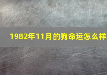 1982年11月的狗命运怎么样