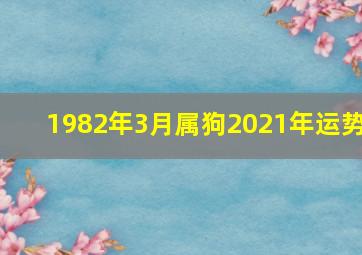 1982年3月属狗2021年运势