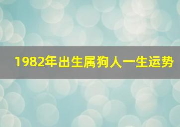 1982年出生属狗人一生运势