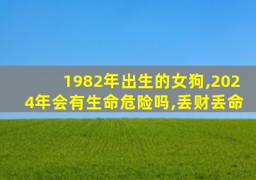 1982年出生的女狗,2024年会有生命危险吗,丢财丢命