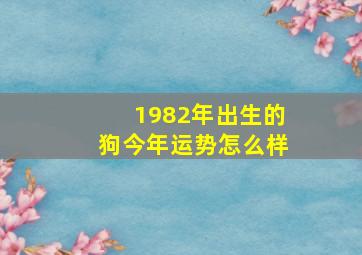 1982年出生的狗今年运势怎么样