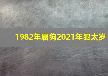 1982年属狗2021年犯太岁