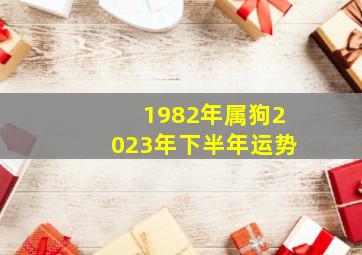 1982年属狗2023年下半年运势